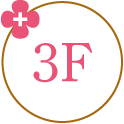 3F